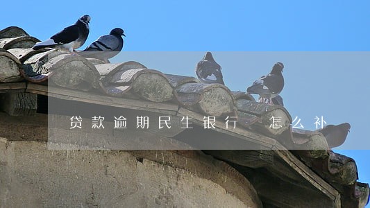 贷款逾期民生银行 怎么补 贷款逾期民生银行 怎么补